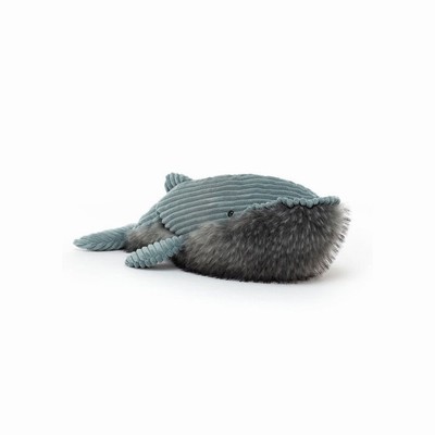 Jellycat Wiley Whale New Zealand | GWZTP7961